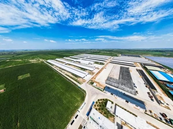 Irin Be Food Processing Plant